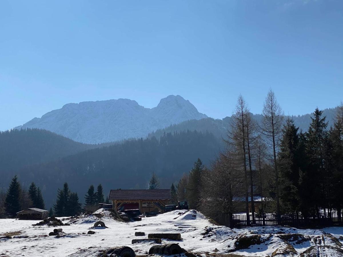 Viva Maria -Sky Moszczak Apartments Zakopane Kültér fotó